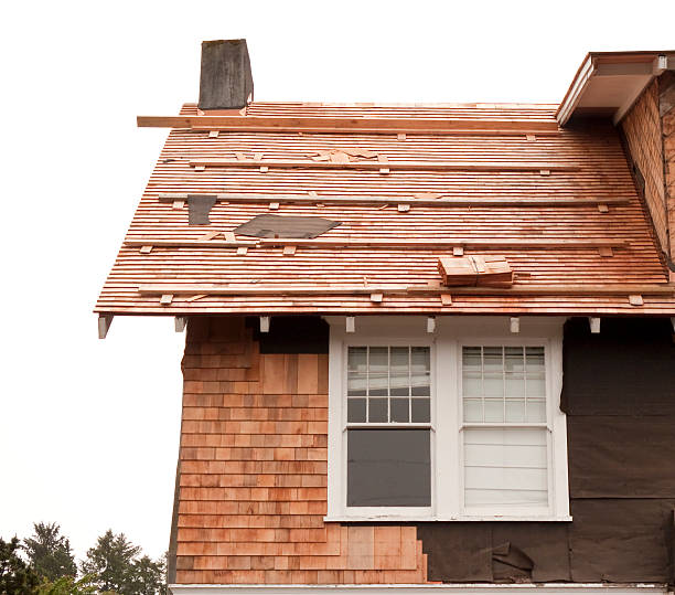 Affordable Siding Repair and Maintenance Services in Manning, IA